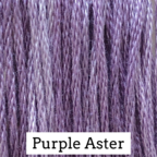 Purple Aster - Click Image to Close